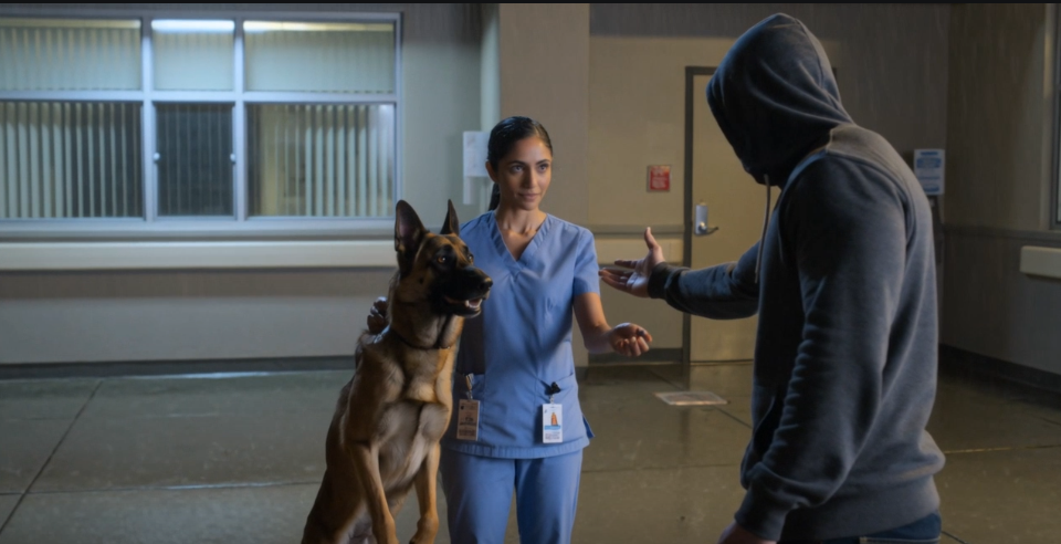 Al San Diego Mercy Hospital, l’infermiera Diana Jenkins doveva solo sorvegliare il cane da assistenza di uno sconosciuto per dieci minuti, ma quando un uomo si è intrufolato nel cortile con uno sguardo pieno di desiderio di vendetta, si è sentita sussurrare “È in buone mani” e ha preso una decisione che ha portato un ex Navy SEAL a chiamare un numero che non componeva da tre anni, dal suo ritorno a casa.